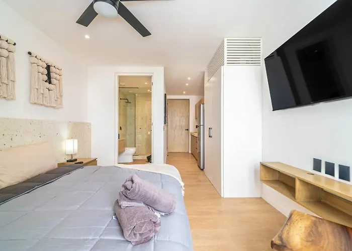 Lux With Rooftop Pool, Walk To And 5th Ave Playa del Carmen